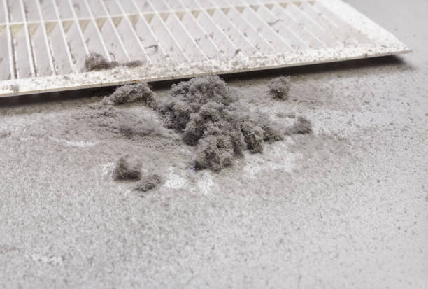 Best Air Duct Cleaning Company Near Me  in Erath, LA