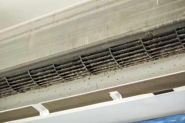 HVAC System Cleaning in LA
